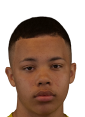 內托